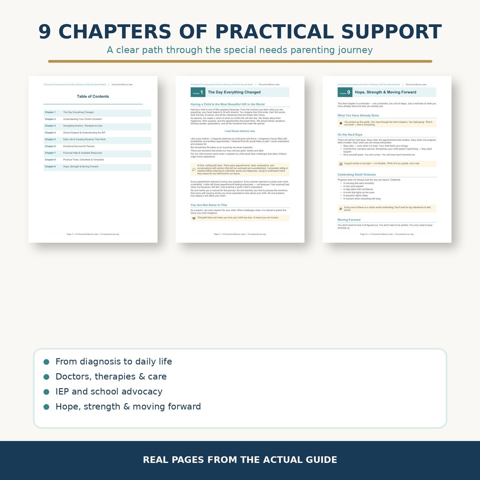 Special needs parenting guide nine chapters overview