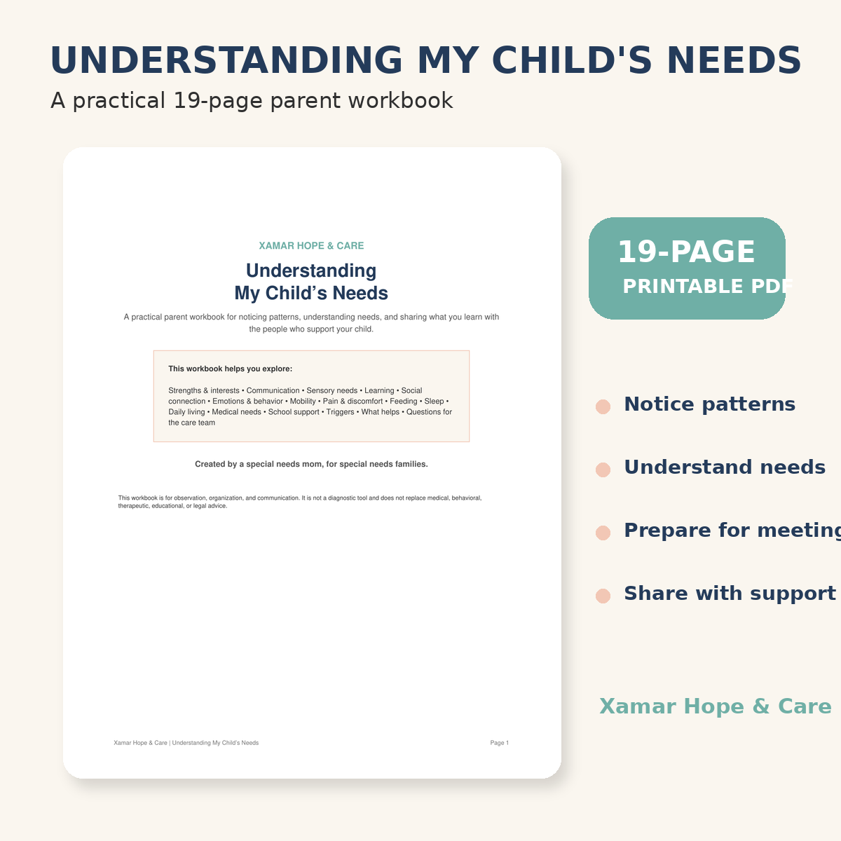 Understanding My Child's Needs 19-page practical parent workbook